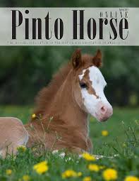 More images for pinto horse pictures » Pinto Horse Magazine Spring 2014 By Pinto Horse Association Of America Inc Issuu