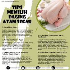 Maybe you would like to learn more about one of these? Tips Memilih Daging Ayam Segar Podomoro Poultry Equipment