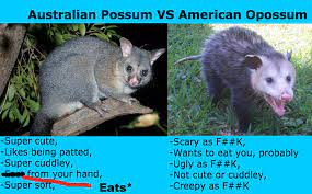 It mainly lives in the us. Australia Wins Imgur