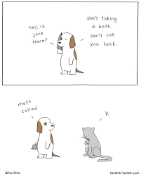 Pin By Graziela Leonel On Cute Funny Animal Comics Funny Animal Jokes Cute Comics
