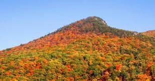 The highest of the allegheny mountains can be found here with spectacular vistas, rugged highlands, and famous cliff and rock formations. 25 Most Beautiful West Virginia Mountains