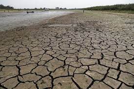 Paraguay had a gdp growth rate of 14.5% by the end of 2010. Drought Depletes Paraguay River A Country S Lifeline The Mainichi