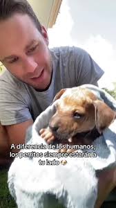 Rwa Rwauuus: Siempre a Tu Lado 🐶