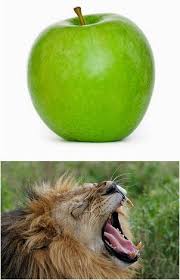 Maybe you would like to learn more about one of these? Cara Menggabungkan 2 Objek Yang Berbeda Dengan Photoshop