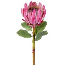 32 Handwrapped Silk Giant King Protea Flower Spray Pink Case Of 6 Protea Flower Flower Spray Protea