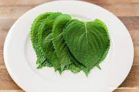Perilla leaves, botanically classified as perilla frutescens, grow on an annual plant that can reach up to ninety centimeters in height and are members of the lamiaceae, or mint family. Korean Perilla Leaves My Korean Kitchen