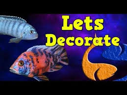 For mbunas put in as much rock as you can. Decorating An African Cichlid Tank Youtube