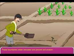 If you see exposed roots, runnels, puddles, or mud splashing up on surfaces there are a few easy steps you can take to stop erosion in its tracks. Methods To Prevent Soil Erosion Youtube