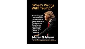 A brown woman's guide to politics and political. What S Wrong With Trump Amazon De Marcus Michael N Fremdsprachige Bucher