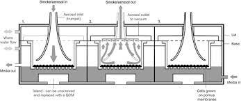 Ge security fasd700 manual online: A Review Of In Vitro Cigarette Smoke Exposure Systems Sciencedirect