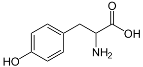 Auf grund der vorhandenen aminogruppe reagieren biogene amine ähnlich wie ammoniak als protonenakzeptoren basisch. Biogene Amine Wikipedia