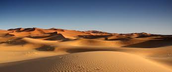 She wears a blue vest and has a white pack of flooring and wallpapers on their back. Seulement 20 Du Sahara Est Recouvert De Sable Le Saviez Vous