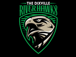 Hawks Sports Logo Design Game Logo Design Logo Design