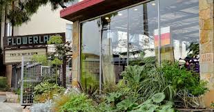 Flowerland In Albany Ca Was Another Vacation Visit Based On A Recommendation From Kelly Who Mentioned She Thinks O In 2020 Flora Grubb Amaryllis Bulbs Garden Shop
