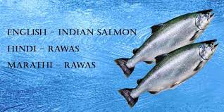 The meaning of the movie title is. Top 10 Best Indian Fishes Or Seafood Rich In Protein Ibb Indian Bodybuilding