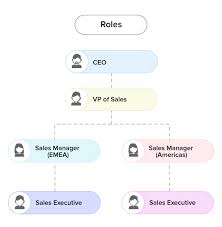 hierarchy preferences online help zoho crm