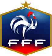 A seleção feminina usou um uniforme semelhante ao modelo do ano anterior da masculina, com este será o escudo com a bandeira do brasil nas camisas da seleção em 2016 (foto: Selecao Francesa De Futebol Feminino Wikipedia A Enciclopedia Livre