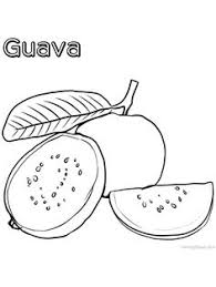 Guava Coloring Page Free Fruit Coloring Pages Coloring Pages Hello Kitty Coloring