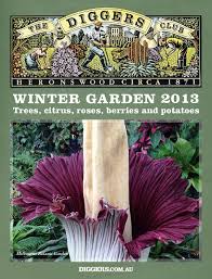 They are arranged in whorls of three. Winter Garden By The Diggers Club Issuu