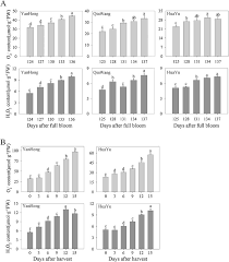 Sorted by typical ripeneing date! Double Nced Isozymes Control Aba Biosynthesis For Ripening And Senescent Regulation In Peach Fruits Sciencedirect