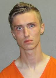 Neo-Nazis' in tactical gear with 1,500 rounds of ammunition is arrested