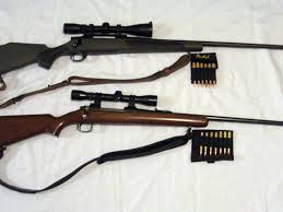 Para yerine onur için savaşan bir grup asker amansız bir mücadelenin içine girer. The Best Caliber For Short To Mid Range Hunting Xtreme Idaho Idahostatejournal Com