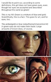 amuse ai remodeling complete