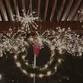 Pergola Lighting event image