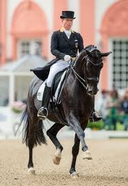 Isabell werth mit weihegold #isabellwerth#weihegold#teamwork. 13 Isabell Werth Ideas Dressage Dressage Horses Horses