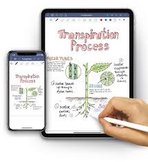 She replied you are a human being. Getting Started With Goodnotes 5 Goodnotes Support