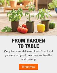 Menu & reservations make reservations. Edible Garden The Home Depot