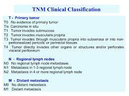 For this type of cancer, there are 4 stages. Peritoneal Mesothelioma Tnm Staging