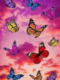 Pin By Jasmyn On Tiktok Aesthetic Wallpapers In 2020 Butterfly Wallpaper Iphone Iphone Wallpaper Pattern Trippy Wallpaper