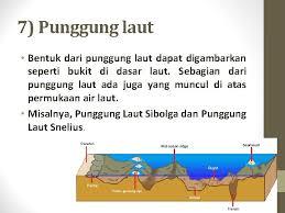 Perbedaan tinggi rendahnya muka bumi disebut relief. Bentuk Muka Bumi Dari Bentuk Patahan Dan Lipatan