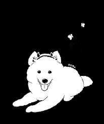 Replace Nearly Transparent Pixels With Specific Color Discussion 4301 Imagemagick Imagemagick Github