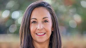 Meet the candidates: Greenville County government races