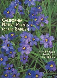 California buckwheat flowers constantly in winter and is commonly seen around san diego and other parts of southern california. California Native Plants For The Garden Tree Of Life Nursery