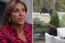 GMA's Janai Norman reveals she's pregnant with 3rd child and shares who  found out she was expecting before she did