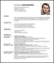 ✅ guarda tu cv empresarial en formato pdf de forma sencilla. Modelo De Curriculum Vitae Pdf Peru