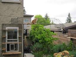 oakland home of habitat haven enclos exterieur pour chat enclos pour chat en plein air enclos chat