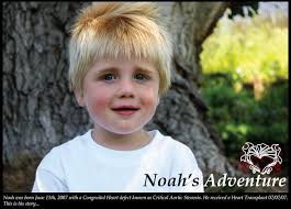 Noah's Adventure: When I Became A Heart Mother