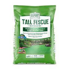 Expert Gardener Tall Fescue Drought Resistant Grass Seed Mixture 20 Lb Walmart Com Tall Fescue Grass Seed Fescue Grass Seed
