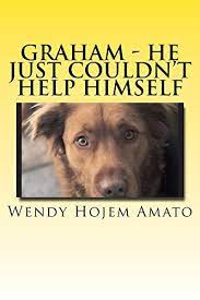 Paint a devastating portrait of trump as a man who literally cannot help himself Graham He Just Couldn T Help Himself English Edition Ebook Hojem Amato Wendy Amazon De Kindle Shop