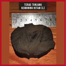 Tidak seperti pasangan kembar lain, anak dilahirkan pamela frazer memiliki keunikan tersendiri apabila mereka memiliki perbezaan warna kulit yang ketara. Teras Tunjang Asli Kayu Kemuning Hitam 100 Shopee Malaysia