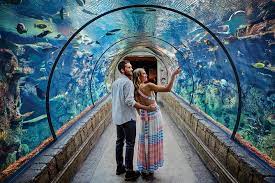 Shark Reef Aquarium At Mandalay Bay Hotel In Las Vegas 2022 Viator