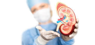 Nephrologists In Mumbai Book Instant Appointment Consult Online View Fees Contact Numbers Feedbacks Kidney Infection Kidney Disease Kidney Health