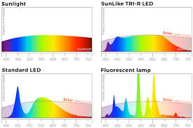 Maybe you would like to learn more about one of these? Ledrise High Performance Led Lighting Led Color Temperature