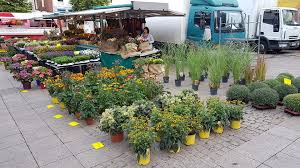 Garten Eden Guten Morgen Aurich Wir Sind Wieder Da Facebook