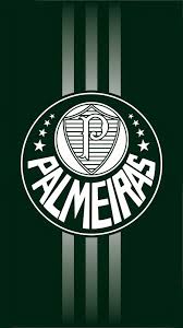 Papel De Parede Do Palmeiras Papel De Parede