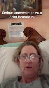 Winston The St Bernard